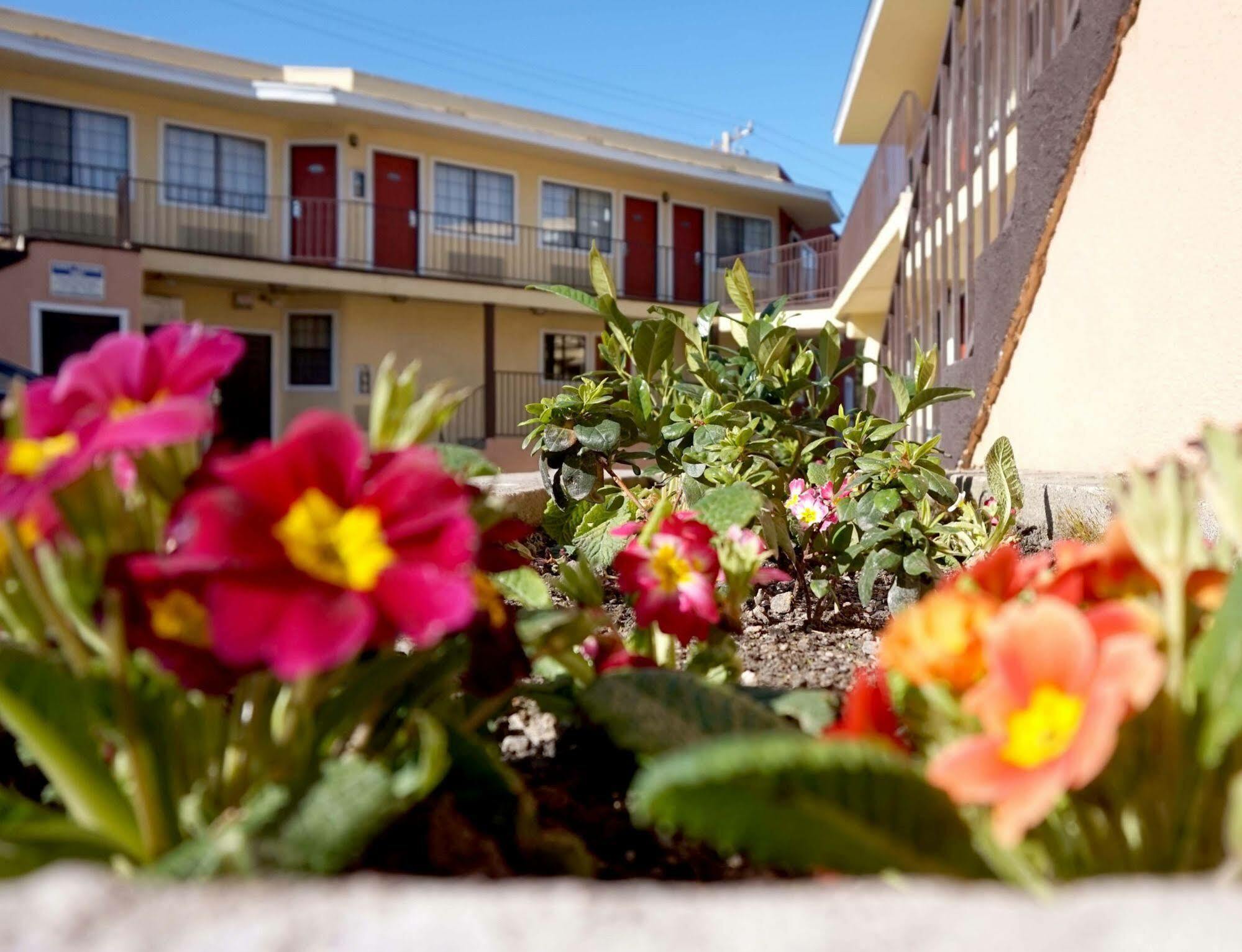 Piedmont Place Motel Oakland Bagian luar foto