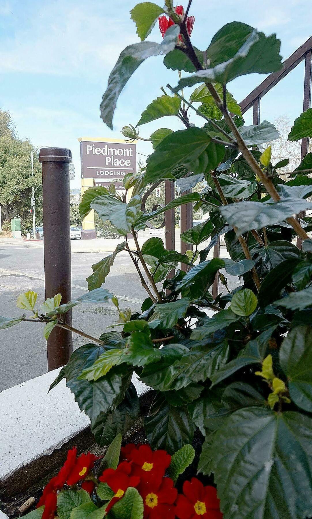 Piedmont Place Motel Oakland Bagian luar foto